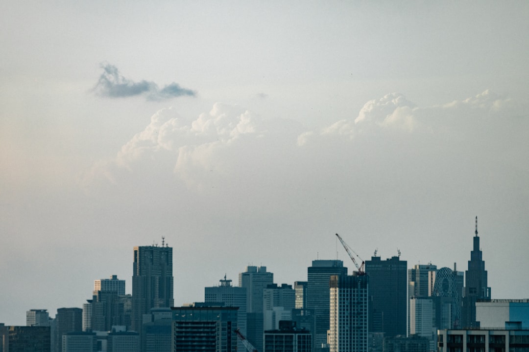 이미지3