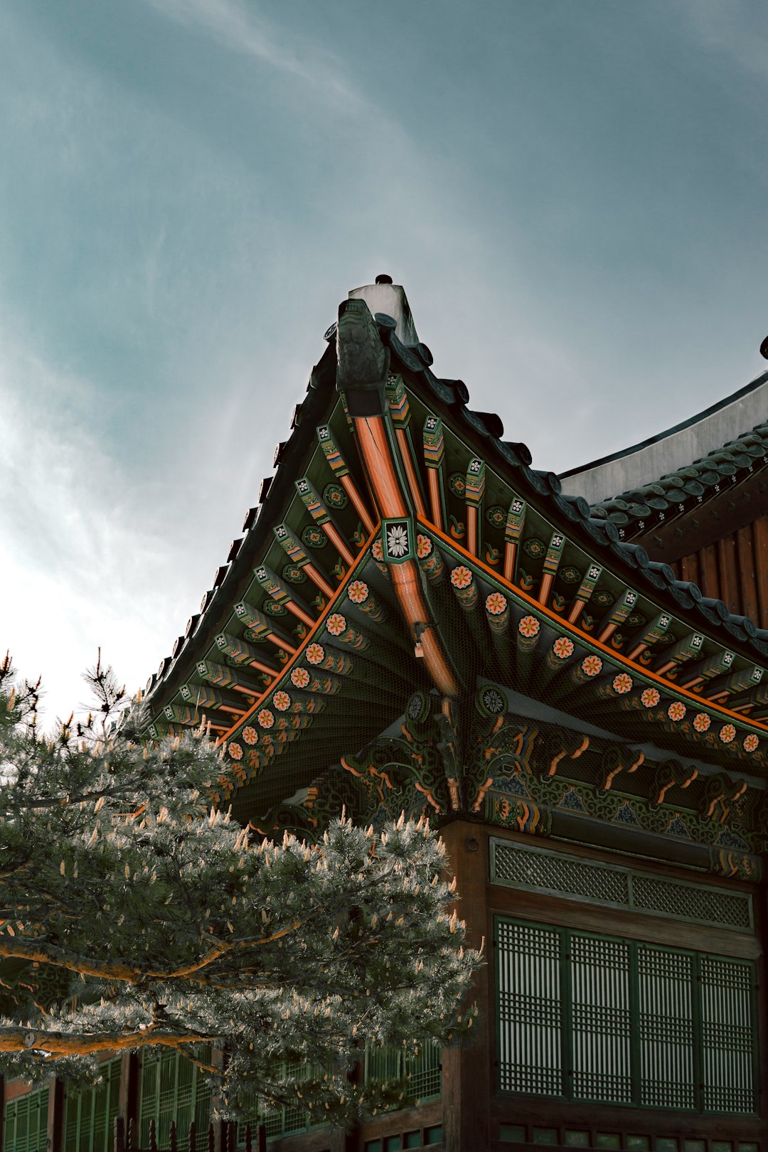 이미지1