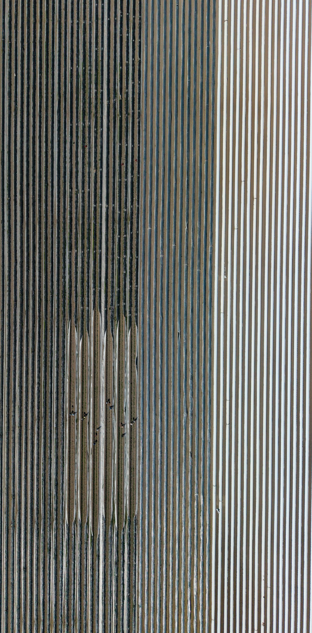 이미지1